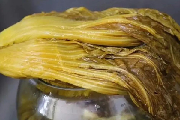 汕頭腌制廠工人用腳踩菜 酸菜用什么菜做的 汕頭腌制廠工人用腳踩菜 酸菜用什么菜做的