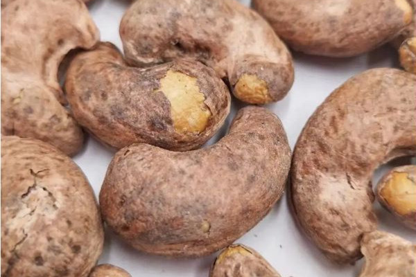 腰果的功效和作用 腰果可以補(bǔ)腎壯陽(yáng)嗎 腰果的功效和作用 腰果可以補(bǔ)腎壯陽(yáng)嗎