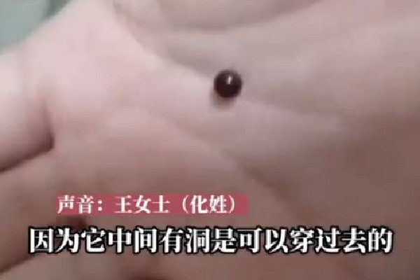 女生疑在奶茶中喝出10余顆玻璃珠 奶茶里的珍珠是用什么做的 女生疑在奶茶中喝出10余顆玻璃珠 奶茶里的珍珠是用什么做的