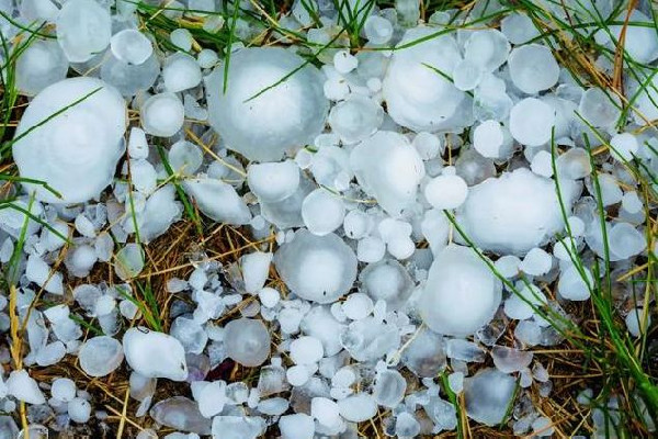 廣州多區(qū)下冰雹白天恍若黑夜 冰雹在哪些地區(qū)多發(fā) 廣州多區(qū)下冰雹白天恍若黑夜 冰雹在哪些地區(qū)多發(fā)