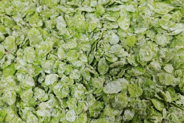 榆錢怎么做最好吃 榆錢可以涼拌吃嗎 榆錢怎么做最好吃 榆錢可以涼拌吃嗎