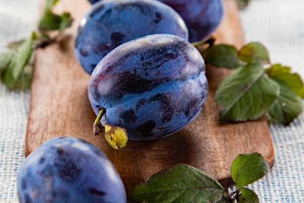 西梅怎么保存不容易壞 西梅放冰箱還是常溫 西梅怎么保存不容易壞 西梅放冰箱還是常溫