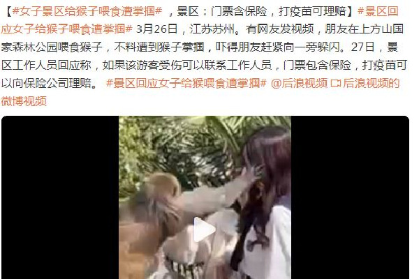 女子給猴子喂食被掌摑景區(qū)回應(yīng) 猴子會主動攻擊人嗎 女子給猴子喂食被掌摑景區(qū)回應(yīng) 猴子會主動攻擊人嗎
