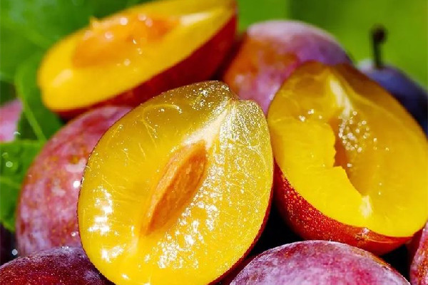 西梅一次最多吃幾個(gè) 西梅會(huì)導(dǎo)致脹氣嗎 西梅一次最多吃幾個(gè) 西梅會(huì)導(dǎo)致脹氣嗎