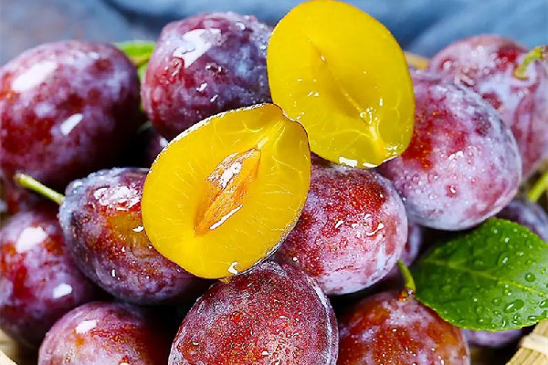 西梅吃多了會不會拉肚子 西梅吃多了有副作用嗎 西梅吃多了會不會拉肚子 西梅吃多了有副作用嗎