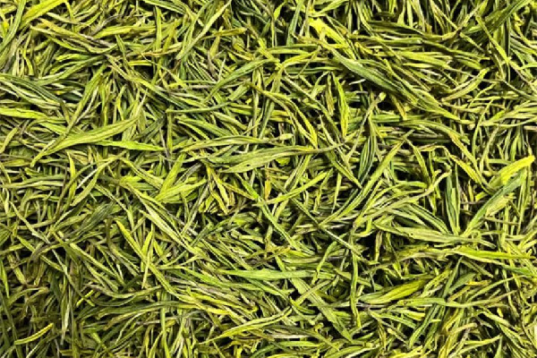 安吉白茶多少錢一斤2023 安吉白茶是名茶嗎 安吉白茶多少錢一斤2023 安吉白茶是名茶嗎
