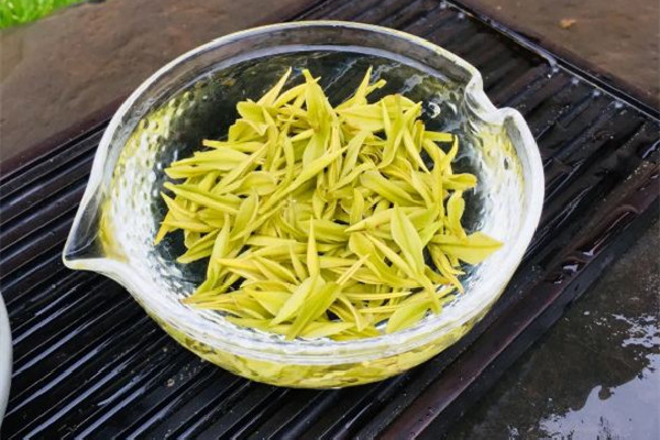 安吉白茶的功效和作用 安吉白茶可以減肥嗎 安吉白茶的功效和作用 安吉白茶可以減肥嗎