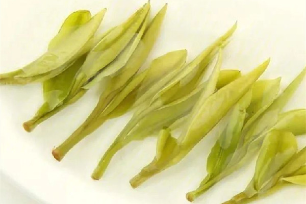 安吉白茶怎么泡最好 安吉白茶用多少度水沖泡 安吉白茶怎么泡最好 安吉白茶用多少度水沖泡