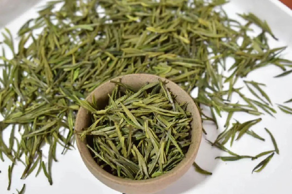 安吉白茶和福鼎白茶的區(qū)別 安吉白茶和福鼎白茶哪種好 安吉白茶和福鼎白茶的區(qū)別 安吉白茶和福鼎白茶哪種好