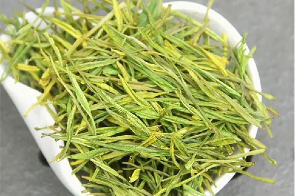安吉白茶什么季節(jié)最好喝 安吉白茶適宜人群 安吉白茶什么季節(jié)最好喝 安吉白茶適宜人群