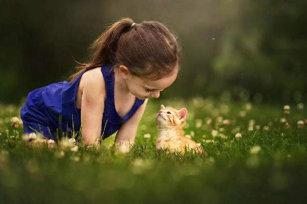 70.8%上海人只希望有一個孩子 孩子要怎么教育和培養(yǎng) 70.8%上海人只希望有一個孩子 孩子要怎么教育和培養(yǎng)