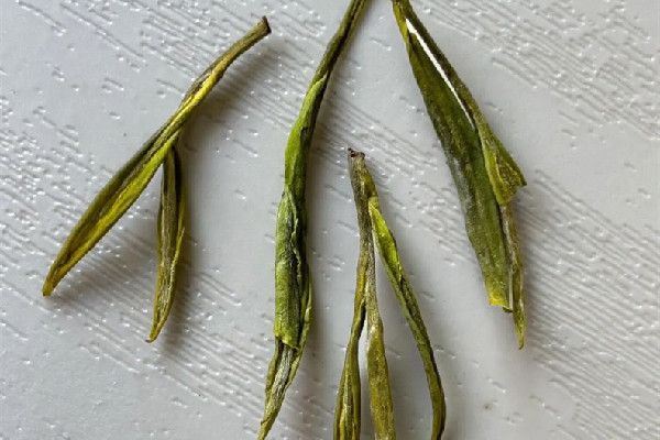 安吉白茶屬于哪類茶 安吉白茶是白茶嗎 安吉白茶屬于哪類茶 安吉白茶是白茶嗎