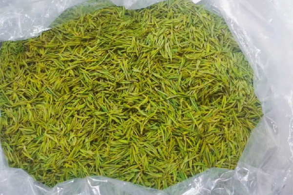 安吉白茶怎么泡最好 安吉白茶用多少度水沖泡 安吉白茶怎么泡最好 安吉白茶用多少度水沖泡