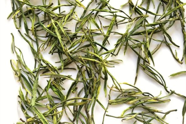 安吉白茶多少錢一斤2023 安吉白茶是名茶嗎 安吉白茶多少錢一斤2023 安吉白茶是名茶嗎