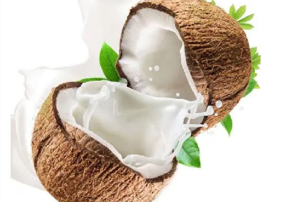 椰奶和椰汁的區(qū)別 椰奶適合水果搭配嗎 椰奶和椰汁的區(qū)別 椰奶適合水果搭配嗎