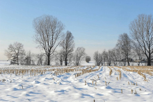 今年以來最大范圍雨雪來襲 雨雪天氣會影響飛機起飛嗎 今年以來最大范圍雨雪來襲 雨雪天氣會影響飛機起飛嗎