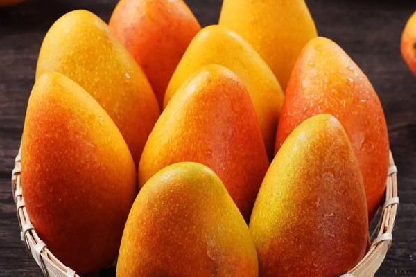 芒果有點黑了還能吃嗎 芒果為什么長黑斑 芒果有點黑了還能吃嗎 芒果為什么長黑斑