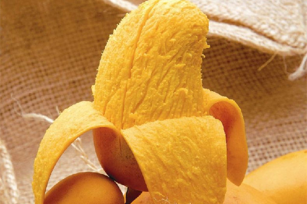 芒果不熟可以吃嗎 芒果不催熟會自然熟嗎 芒果不熟可以吃嗎 芒果不催熟會自然熟嗎