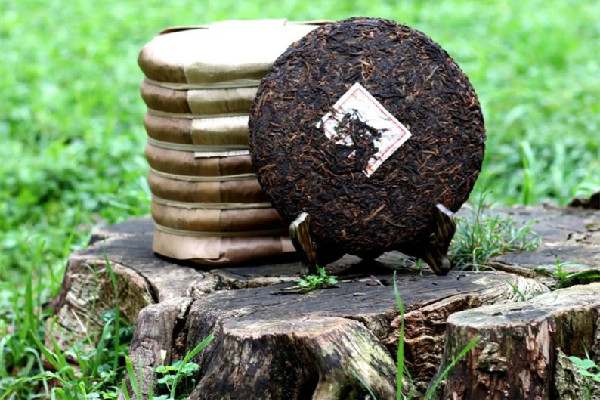 茶餅怎么保存 茶餅放冰箱保存可以嗎 茶餅怎么保存 茶餅放冰箱保存可以嗎