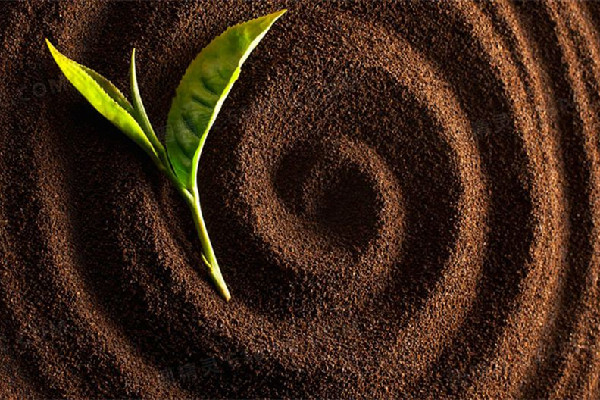 咖啡粉要壓實到什么程度 咖啡粉為什么要壓一下 咖啡粉要壓實到什么程度 咖啡粉為什么要壓一下