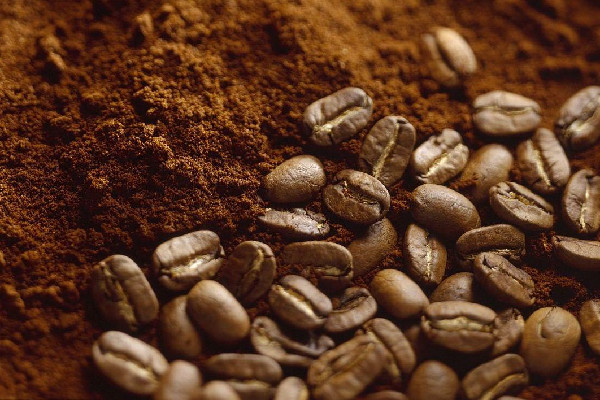 咖啡粉可以當(dāng)肥料種花嗎 咖啡粉和咖啡豆哪個(gè)比較好 咖啡粉可以當(dāng)肥料種花嗎 咖啡粉和咖啡豆哪個(gè)比較好