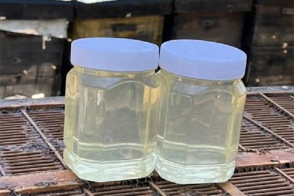 槐花蜜是結(jié)晶的好還是不結(jié)晶的好 槐花蜜怎么分辨真假 槐花蜜是結(jié)晶的好還是不結(jié)晶的好 槐花蜜怎么分辨真假