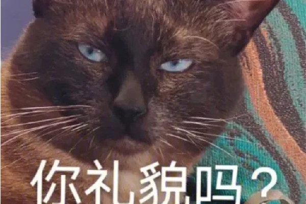 成都草莓音樂節(jié)一男子對警察豎中指 豎中指的含義是什么意思 成都草莓音樂節(jié)一男子對警察豎中指 豎中指的含義是什么意思