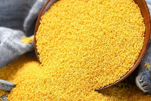 小米有什么營養(yǎng)和功效 小米可以減肥嗎 小米有什么營養(yǎng)和功效 小米可以減肥嗎