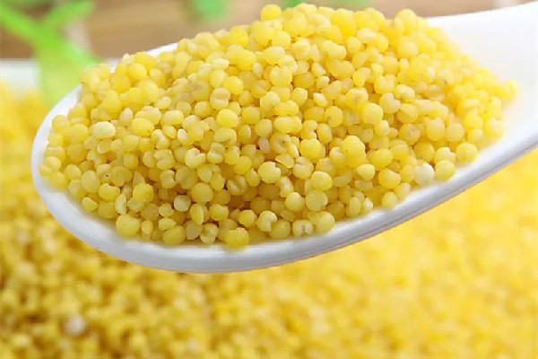 小米粥養(yǎng)胃還是傷胃 小米粥對(duì)胃病有好處嗎 小米粥養(yǎng)胃還是傷胃 小米粥對(duì)胃病有好處嗎