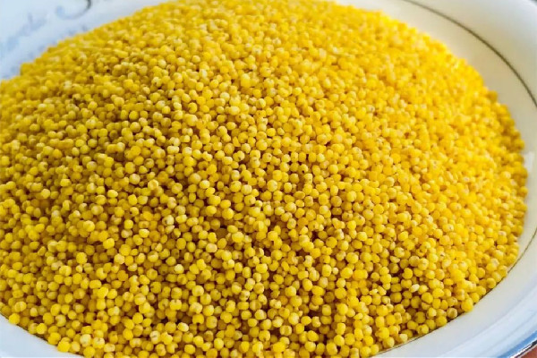 小米粥煮多長時(shí)間能好 小米粥煮10分鐘能熟嗎 小米粥煮多長時(shí)間能好 小米粥煮10分鐘能熟嗎