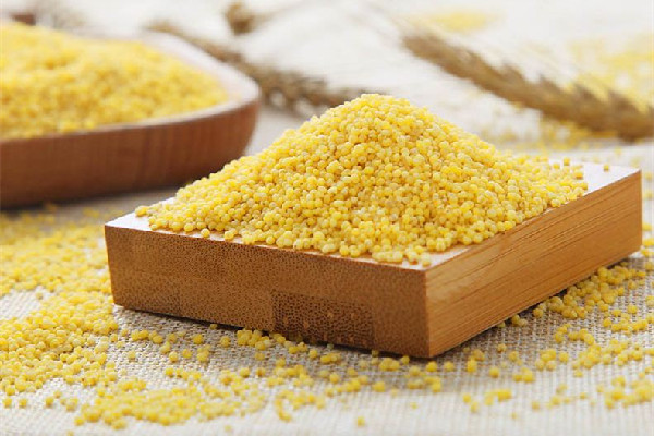 小米和大米哪個(gè)有營養(yǎng) 小米和大米哪個(gè)升糖指數(shù)高