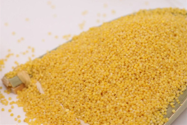 小米要冷水下鍋還是熱水下鍋 小米怎么煮粥才好吃 小米要冷水下鍋還是熱水下鍋 小米怎么煮粥才好吃