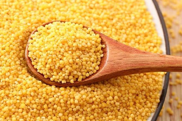 小米粥有酸味是怎么回事 小米粥什么人不適宜吃 小米粥有酸味是怎么回事 小米粥什么人不適宜吃