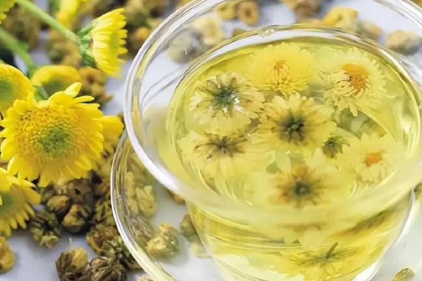 菊花茶買大的好還是小的好 菊花茶買什么牌子好 菊花茶買大的好還是小的好 菊花茶買什么牌子好