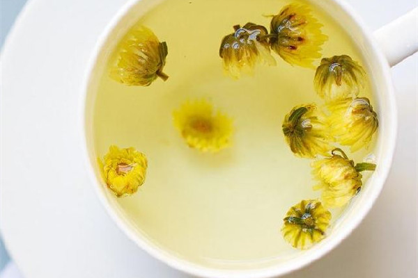 菊花茶放多少菊花合適 菊花茶放多了喝怎么樣 菊花茶放多少菊花合適 菊花茶放多了喝怎么樣