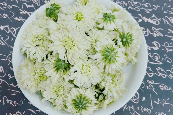 菊花茶可以放多久 菊花茶放了三年還能喝嗎 菊花茶可以放多久 菊花茶放了三年還能喝嗎