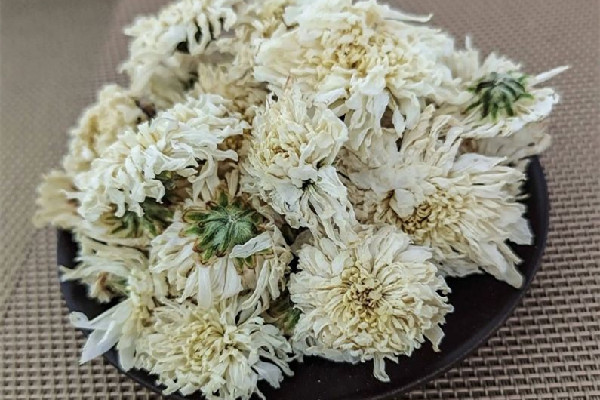 菊花茶喝起來(lái)為什么是苦的 菊花茶喝起來(lái)什么味道 菊花茶喝起來(lái)為什么是苦的 菊花茶喝起來(lái)什么味道