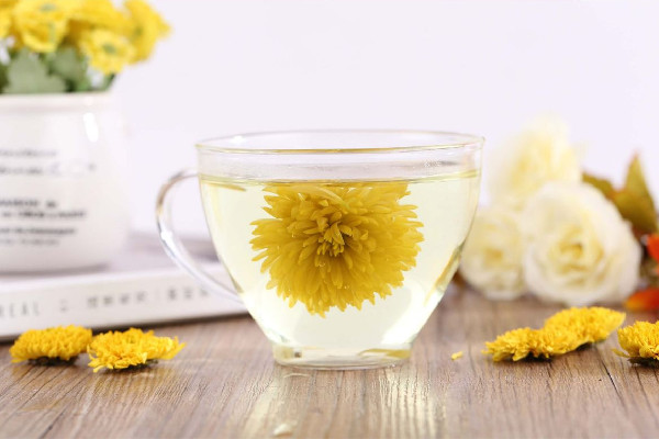 菊花茶放多少菊花合適 菊花茶放多了喝怎么樣 菊花茶放多少菊花合適 菊花茶放多了喝怎么樣