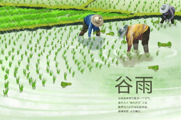 今日谷雨 谷雨有什么民俗 今日谷雨 谷雨有什么民俗