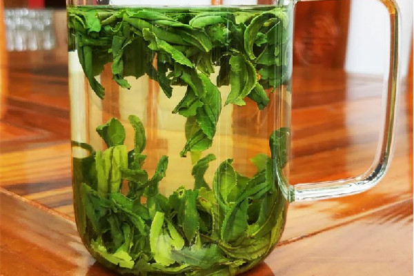 六安瓜片對(duì)身體有什么好處 六安瓜片可以降血壓嗎 六安瓜片對(duì)身體有什么好處 六安瓜片可以降血壓嗎